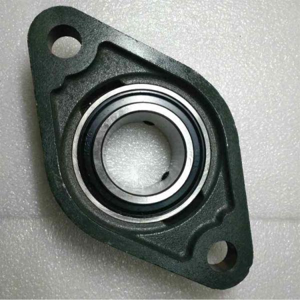 0.6250 in x 3.0000 in x 54 mm  0.6250 in x 3.0000 in x 54 mm  skf F2B 010-RM Ball bearing oval flanged units #3 image